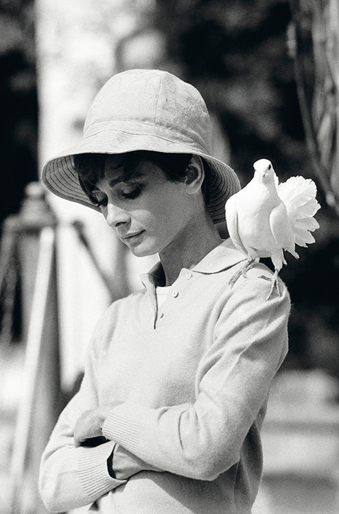 'Audrey Hepburn with dove on set in 1966', France