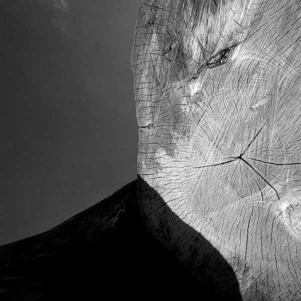 'WOOD III, Wiltshire', 1995 | Lenscloud